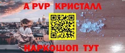 тгк Кингисепп